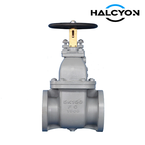 JIS F7363 Marine Gate Valve